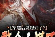 穿越后发媳妇了？整个人懵了完结版萧辰免费阅读大结局-推文官