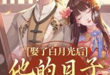 娶了白月光后,他的日子鸡飞狗跳免费阅读,盛栖月萧玉衡大结局无弹窗-推文官