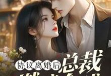协议离婚后,总裁燃遍全球无弹窗林深最新章节列表-推文官