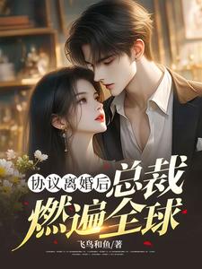 协议离婚后，总裁燃遍全球无弹窗林深最新章节列表