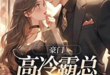 苏颜汐傅霖宸小说免费阅读最新章节列表,豪门:高冷霸总别太宠小说在线看-推文官