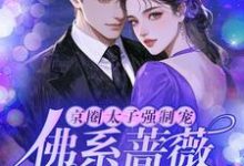 完结版京圈太子强制宠，佛系蔷薇怀里娇在哪免费看，林北小说在线阅读-推文官