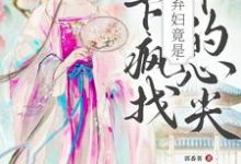 洛知槿陆淮小说免费阅读最新章节列表，侯府弃妇竟是陛下疯找十年的心尖小说在线看-推文官