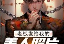 老板发给我的美人照片是老板娘免费阅读(林江宇)小说免费读最新章节-推文官