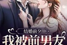 结婚前夕,我被前男友带走了(主角薄寒深曲南枝)完结版免费阅读-推文官