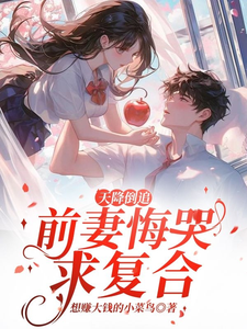 李沐风小说的结局在哪可以看，天降倒追，前妻悔哭求复合免费阅读完结版