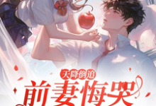 天降倒追,前妻悔哭求复合小说资源求分享,天降倒追,前妻悔哭求复合李沐风在线阅读-推文官