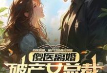 小说傻医离婚,破产女总裁捡到宝主角杨路年兮兮免费阅读-推文官