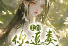 主神，你追妻又失败了？无弹窗夏溪苏礼最新章节列表-推文官