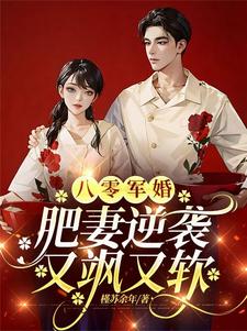八零军婚，肥妻逆袭又飒又软热门小说(周琳琳严屹辰)在线阅读无弹窗