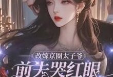 改嫁京圈太子爷，前夫哭红眼求我别嫁小说最新章节在哪里可以免费看-推文官