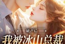 破产后，我被冰山总裁接回家热门小说(涂鸢谢引鹤)在线阅读无弹窗-推文官