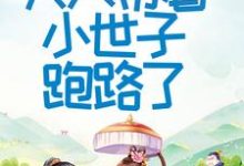 首辅大人不好了!夫人带着小世子跑路了大结局,程颂安崔元卿小说无广告阅读-推文官