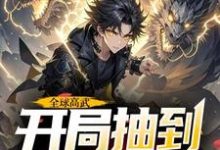 小说全球高武，开局抽到荒古圣体主角许天免费阅读-推文官