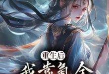 主人公是沈云的小说重生后,我靠氪金云养未来女帝免费阅读-推文官