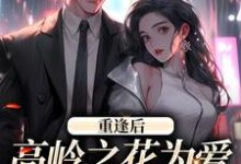 付闻洲程又青小说免费阅读最新章节列表,重逢后,高岭之花为爱变身追妻狂魔小说在线看-推文官