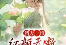 猪友一堆,红颜无数,这叫年少有为完结版裴双郑子林免费阅读大结局-推文官