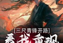 三尺青锋开路，看我重现家族荣耀在线看，叶凌天武明月小说大结局在哪免费看-推文官