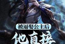 被逼娶公主后,他直接坐了皇位(王修苏晚晴)完结版免费阅读-推文官