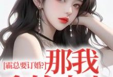 沈徽林项明峥在线阅读，霸总要订婚？那我拿钱走人小说完结版章节-推文官