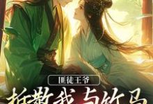 匪徒王爷拆散我与竹马,逼我嫁他!热门小说(楼晚棠裴肆瑾)在线阅读无弹窗-推文官