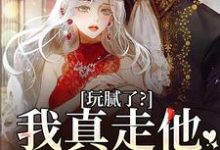 阮柠贺宴川小说的结局在哪可以看，玩腻了？我真走他又不高兴免费阅读完结版-推文官