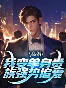 离婚：我变单身贵族强势追爱精彩章节阅读(江辰夏云荷)免费阅读大结局