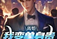 离婚:我变单身贵族强势追爱完结版江辰夏云荷免费阅读大结局-推文官