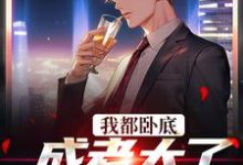 我都卧底成老大了，还不收网？（主角陆乘风周翰林）完结版免费阅读-推文官