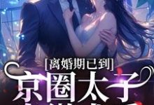离婚期已到!京圈太子卑微求爱(沈青瓷席星野)最新章节免费在线阅读-推文官