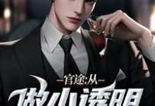 求助这本官途:从做小透明开始小说在哪里可以看完结版-推文官