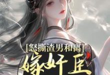 沈蕴之宋窈窈小说的结局在哪可以看，怒撕渣男和离，嫁奸臣高攀不起免费阅读完结版-推文官