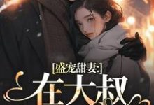 盛宠甜妻:在大叔怀里沦陷热门小说(安姩盛怀安)在线阅读无弹窗-推文官