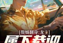 小说赘婿翻身:龙主,属下恭迎您归位主角叶尘林含雪免费阅读-推文官
