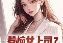 张文定小说免费阅读最新章节列表,惹恼女上司?我有妙计摆平小说在线看-推文官