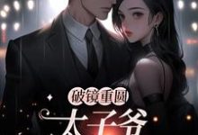 破镜重圆:太子爷他太霸道(黎念靳宴深)完结版免费阅读-推文官