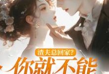 小说渣夫总回家？你就不能找找新欢主角洛言赵晏州免费阅读-推文官