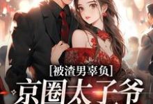 被渣男辜负,京圈太子爷化身治愈系无弹窗沈颜季辞渊最新章节列表-推文官