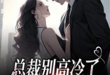 总裁别高冷了,夫人离家出走了(林乔谢之南)最新章节免费阅读-推文官