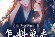 穿成猪猪种田忙，怎料兽夫太黏猪热门小说(穆九溪)在线阅读无弹窗-推文官
