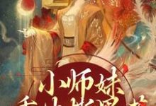 小师妹重生撕黑莲,炸翻宗门免费阅读,凤锦许墨大结局无弹窗-推文官
