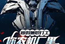 寒假兼职打工,你农机厂里开出空天航母?免费阅读(季成)小说免费读最新章节-推文官