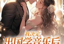 我决定出国学音乐后,大律师后悔了免费阅读(宋棉贺淮川)小说免费读最新章节-推文官