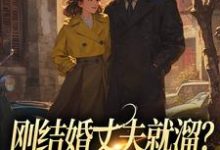 刚结婚丈夫就溜?姐真不吃人!(主角丁遥香陆舰)完结版免费阅读-推文官