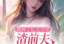 精彩章节阅读就掉了亿点马甲，渣前夫哭着求复婚(楚骁寒叶幻竹)免费小说在线看-推文官