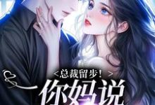 总裁留步！你妈说让你娶我（苏苒染霍司霆）最新章节免费在线阅读-推文官