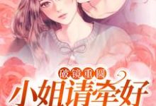小说破镜重圆:小姐请牵好我的余生主角宋一伟林雨晴免费阅读-推文官