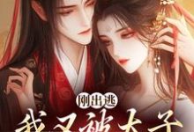 求助这本刚出逃，我又被太子绑回来了小说在哪里可以看完结版-推文官