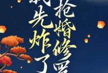 叶楚月轩辕宸在线阅读,穿越后,我先炸了抢婚修罗场小说完结版章节-推文官