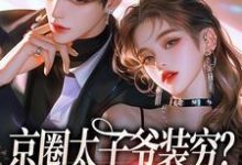 完结版京圈太子爷装穷？我离婚了在哪免费看，杨清然厉砚小说在线阅读-推文官